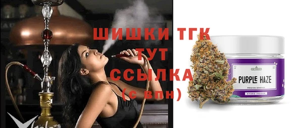 сатива Баксан