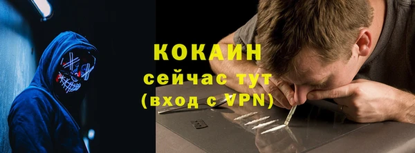 крисы Тында