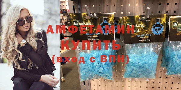 индика Балабаново