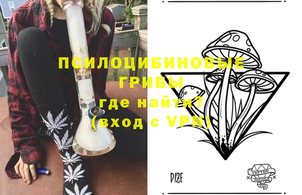 сатива Баксан