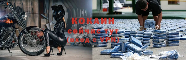 сатива Баксан
