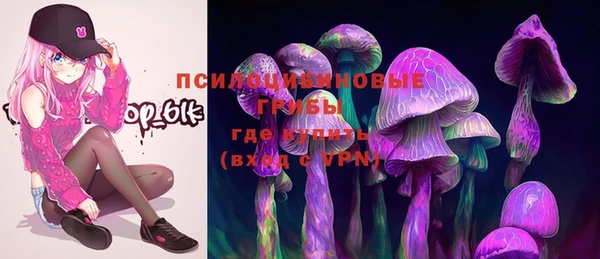 индика Балабаново