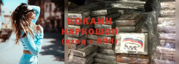 индика Балабаново