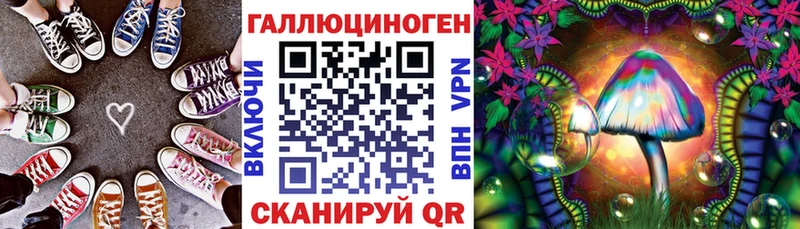 Псилоцибиновые грибы Psilocybe Курлово
